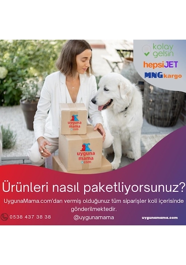 Swing 15 Yedek Kapı