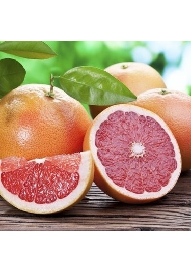 Tüplü Star Ruby İçi Dışı Kırmızı Greyfurt Fidanı Yaş 2 Boy 90-110