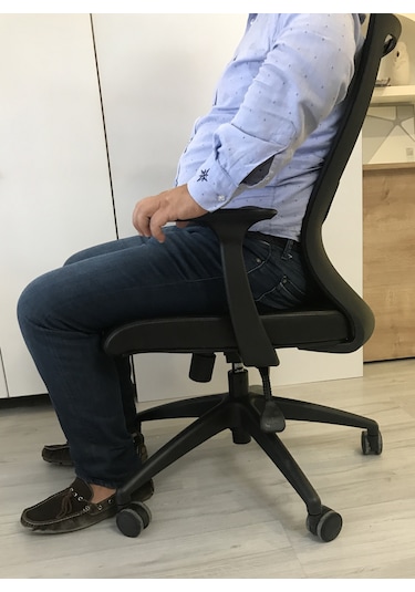 Dekofis Goldsit Çalışma Koltuğu Fileli