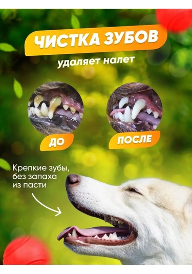 Freedsy Süper Dayanıklı Köpek Topu 169203830