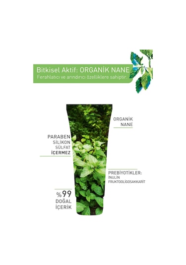 Yves Rocher Pure Menthe Karma ve Yağlı Ciltler İçin Prebiyotik Yüz Peeling 75 ML