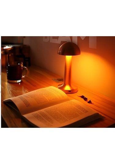 Cata CT-8430 Retro Bakır Dokunmatik Şarjlı Led Masa Lambası