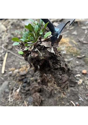 Suntek Magideal Bahçe Dikim Yard Için Manuel Weeder Ayıklama Metal sap