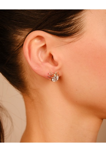 Lekka Design Kadın Takı Kararmaz Çelik Lüks Mavi Taşlı Örümcek Küpe