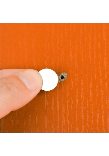 Yapışkanlı Vida Kapama Vida Kapatıcı Tapa Maun 50 Adet N11.14007