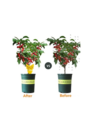 Mufunye Bitki Saksıları İçin Atrapa, Bitki Haşere Kontrolü, Tek Kullandım Atık, 8cm 13cm, Kauçuk+kağıt Malzeme