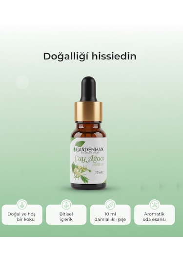 Gardenmax Buhurdanlık Esasnsı Çay Ağacı Çay Ağacı
