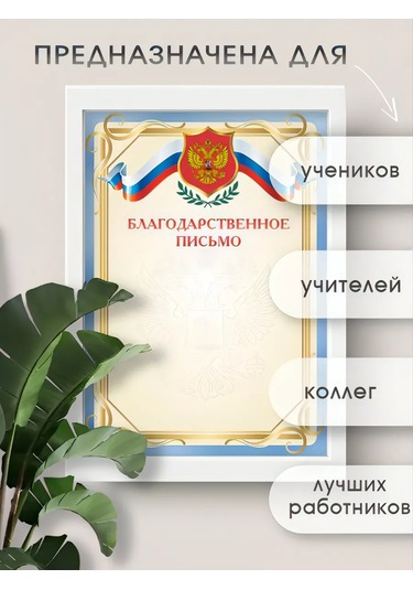 Pro Bel 100 Parçalık Armalı Teşekkür Mektubu Seti 360654170