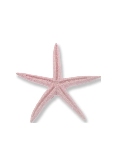 Mutluadim 24 Adet Deniz Yıldızı Biblo