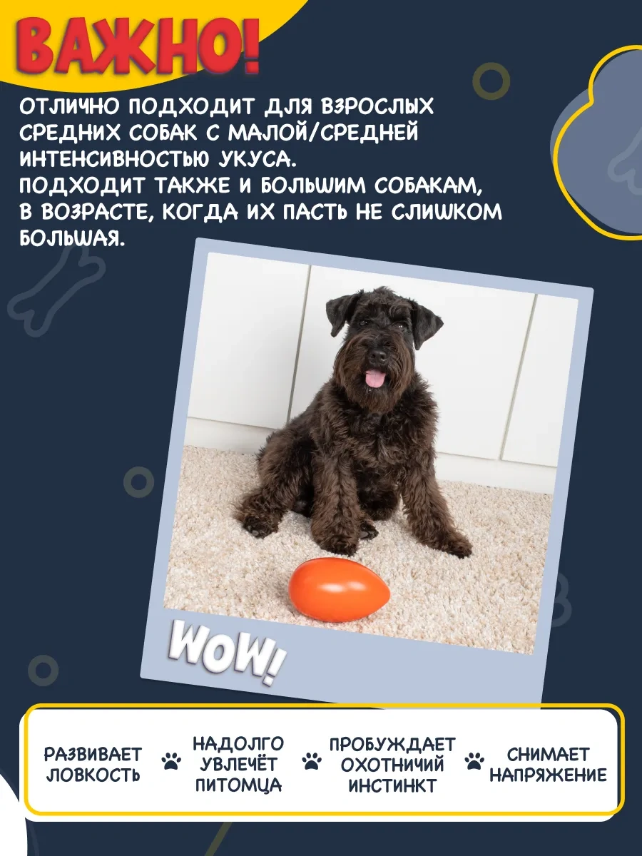 Fancy Pets Köpekler İçin Oyuncak Yakalanması Zor Yumurtka 460778956