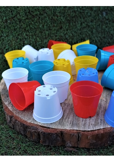 Kaktüs Saksısı 5,5X5 Cm Kaktüs Sukulent Üretim Saksıları Renk Seç