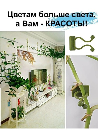 Greduha Bitki Destekleyici Duvar Askısı 10 Adet 169153641