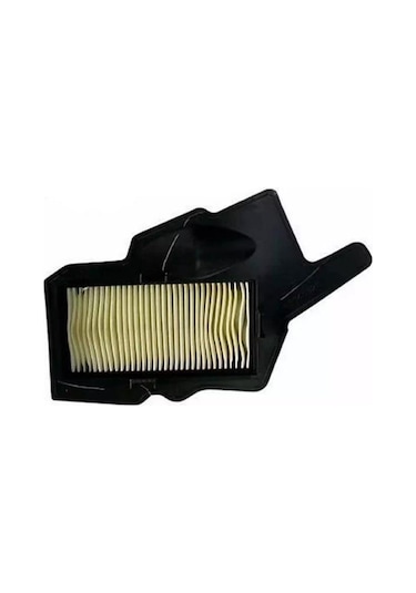 Tvs Raider 125 Hava Filtre