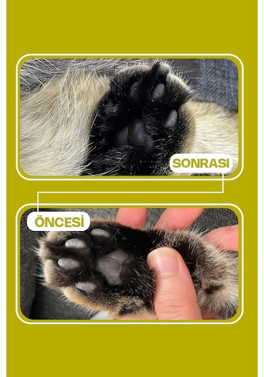 Olivacat Zeytin Çekirdeğinden Üretilen Aktif Karbonlu Tozsuz Doğal Kedi Kumu 8 L