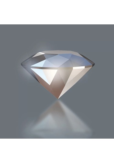 Wera 851/4 Bdc Bits, Ph 1 X 50 Mm