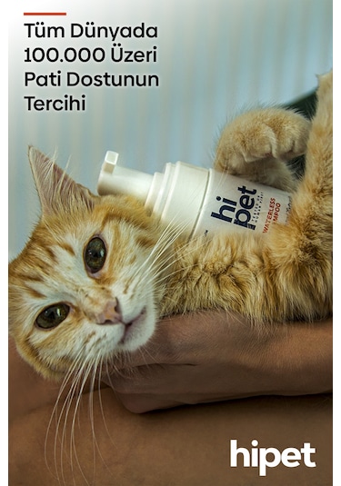 HiPet Kedi Kuru Şampuan