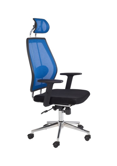 Hhkalayci Ofismalzemecim Yönetici Ofis Koltuğu, Müdür Koltuğu Makam Koltuğu