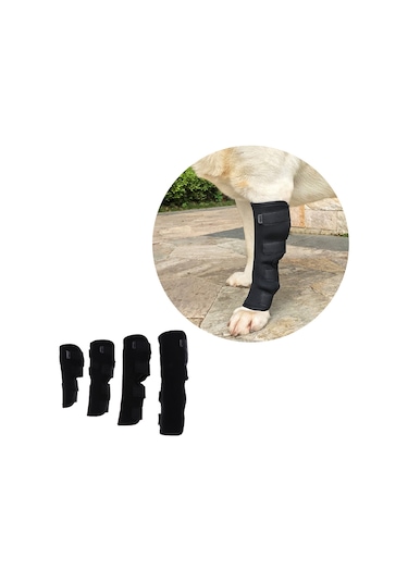 Homyl Köpek Diz Pedleri Yaralanma Önleme Yara İyileşme Artrit