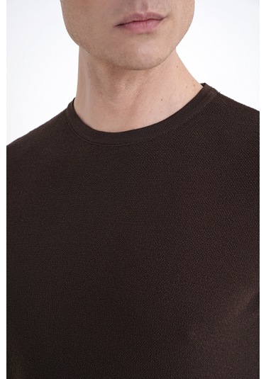 Efor Comfort Fit Rayon Karışımlı Kahverengi Bisiklet Yaka Tişört Ts 925