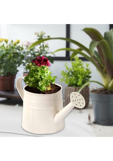 Suntek Mini Sulama Kabı El Sanatları Için Saksı Beyaz