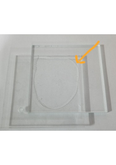 Np 1 Ms Polimer Bazlı Mastik Ve Yapıştırıcı Kristal Kartuş 290Ml