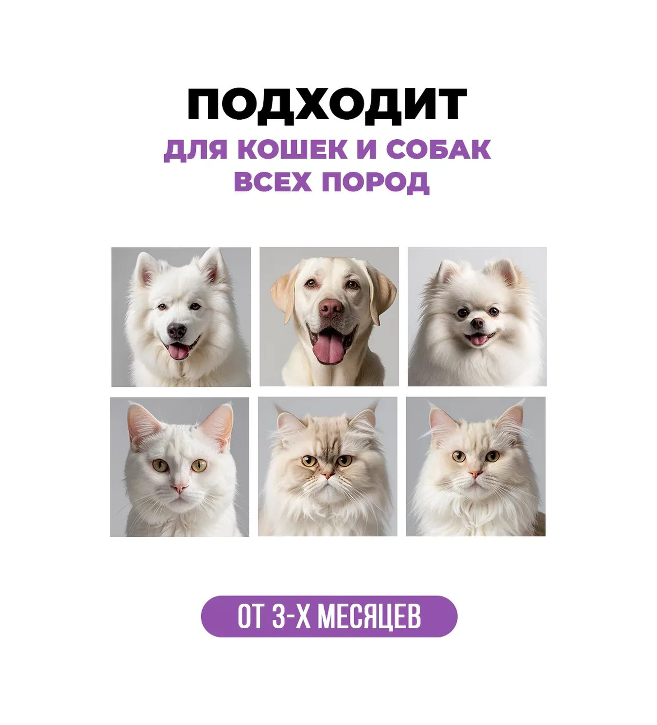 Spets Beyaz Köpekler Ve Kediler İçin Şampuan, Hipoalerjenik 500 Ml 231462603