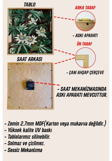 Ahşap Çerçeveli Mdf Tablo Seti Kedi Saat & Botanik Görsel 3 Lü Kombin Renkli