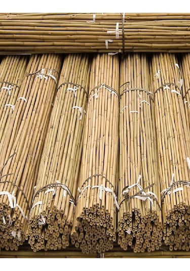 50 Adet Bambu Bitki Fidan Destek Çubuğu 190 - 200 Cm