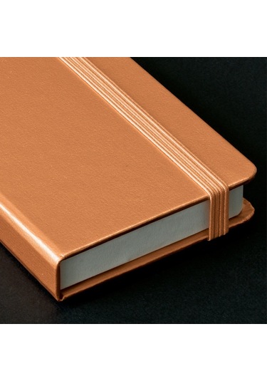Leuchtturm1917 Metalik Renkler Serisi Lüks Kartvizitlik, Altın