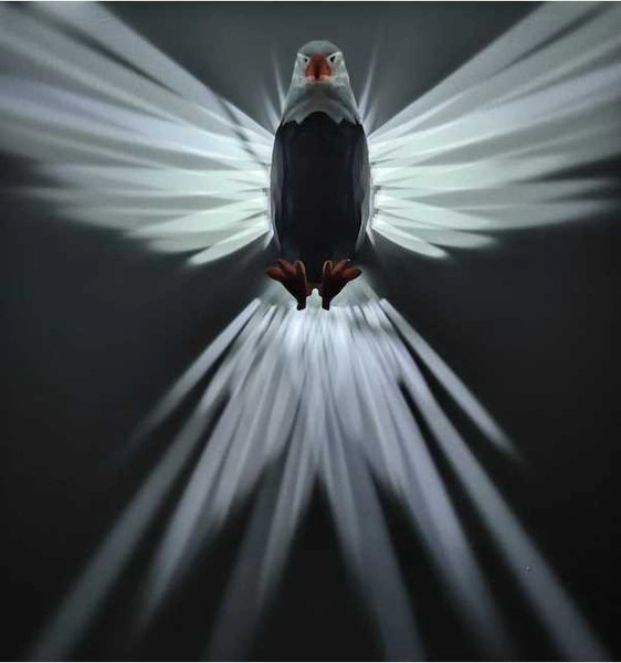 Tongxida Kartal Şekilli Renkli Gece Lambası - Beyaz-siyah Aplik Beyaz - Siyah