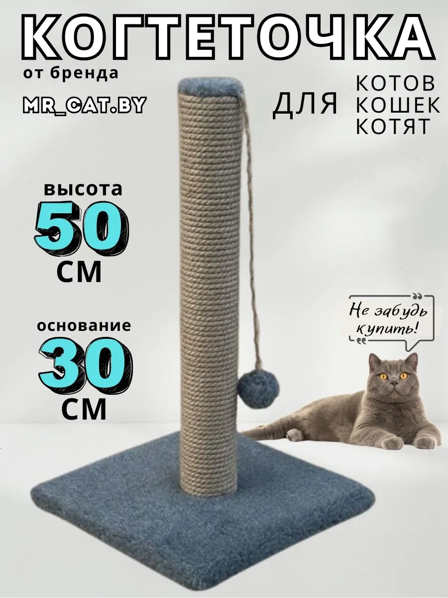 Mr Cat Tırmalama Direği 180821741