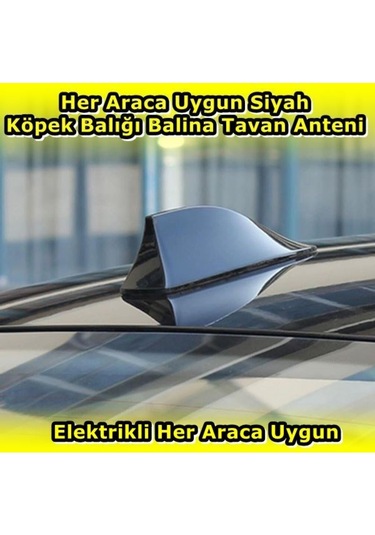 Nkt Group Her Araca Uygun Siyah Shark Köpek Balığı Balina Anten