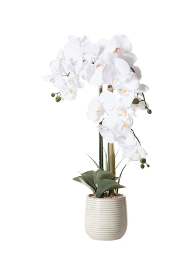 Mudo Home Rıva Saksılı Orkide 60 Cm Beyaz