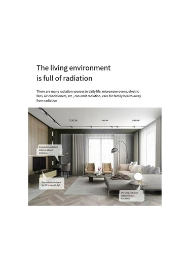 Ganzhoushop Test Radyasyon Dedektörü Radyasyon Ölçer Nükleer Ev Dedektörü Cihazı Rl - Hassas Ölçüm