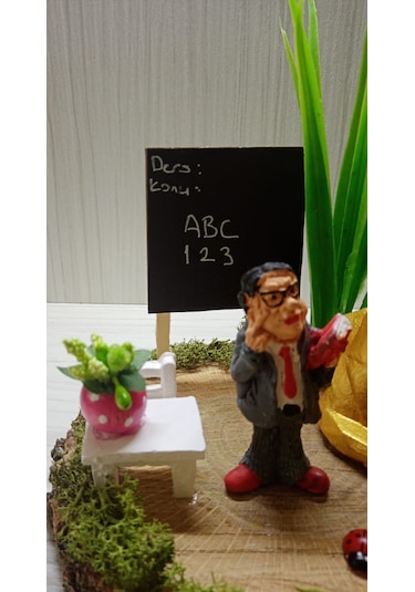 Kütük Teraryum-Erkek