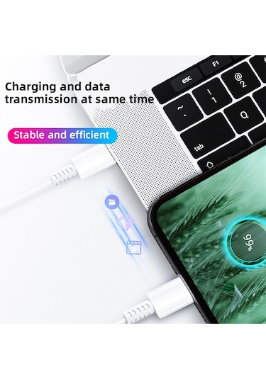 Galaxy S21 FE Uyumlu Type-C to Type-C Super Hızlı Şarj Kablosu 2 Metre 3.0A -İthalatçı Garantili