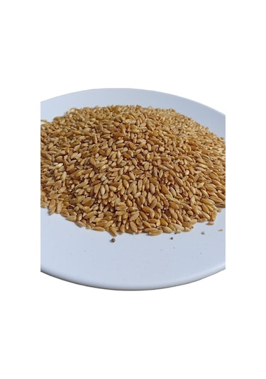 Şenler Hediklik Buğday Diş Buğdayı 1 KG