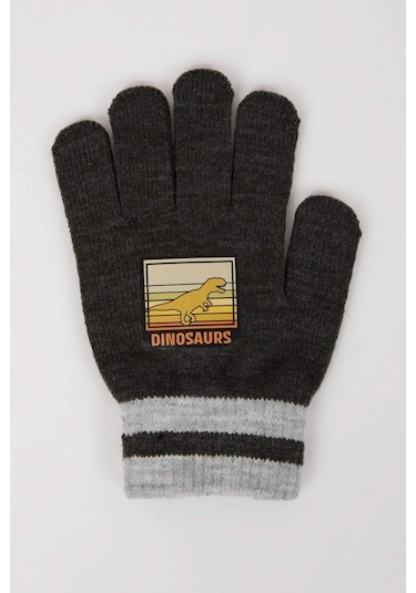 DeFacto Erkek Çocuk Baskılı Triko Eldiven S0406A624WNAR1