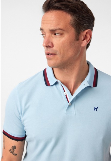 Javeir Erkek Regular Fit Çizgi Detaylı Polo Yaka T-shirt Bebe Mavisi