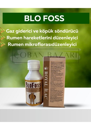 Blofoss Şurup 100ml