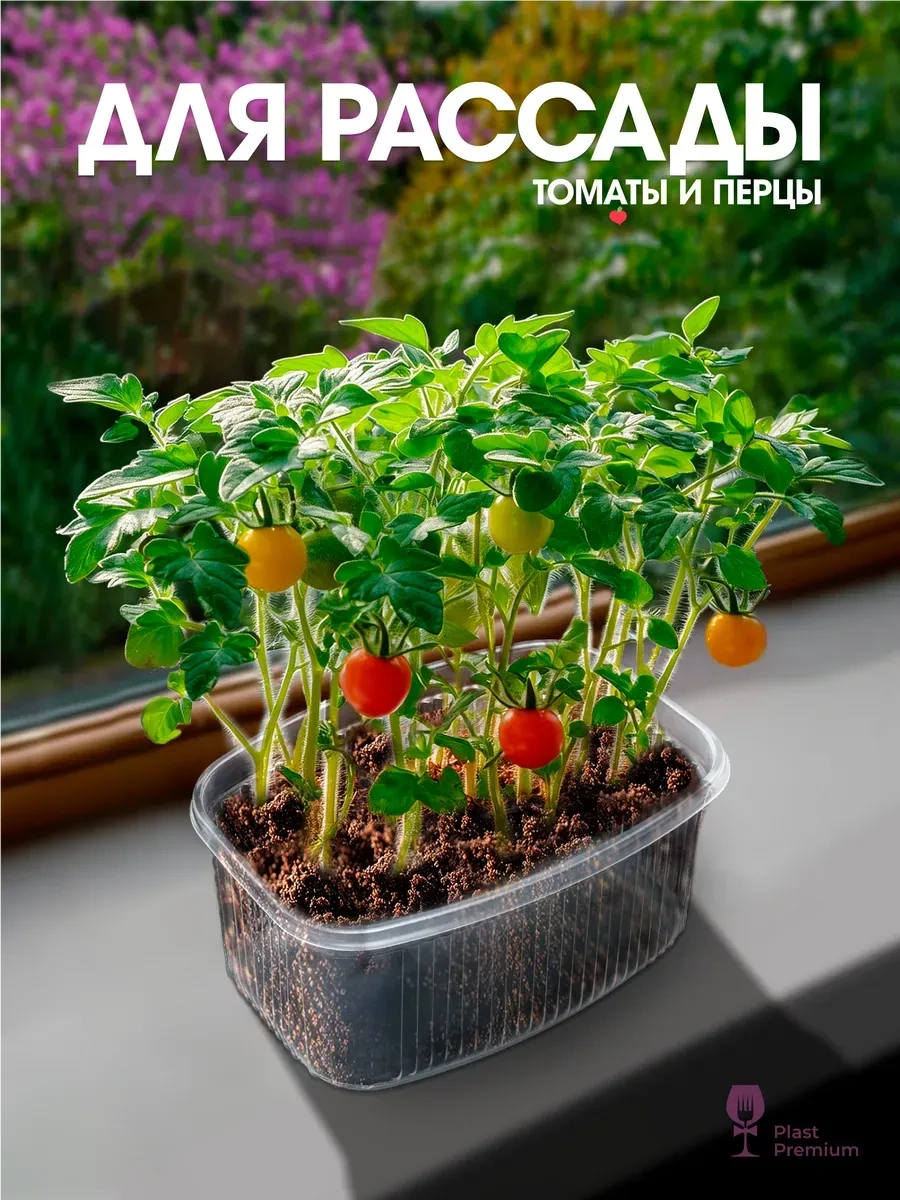 Ecopakplast Plastik Kapaklı Tek Kullanımlık Kaplar 500 Ml 50 Adet 162965407 50