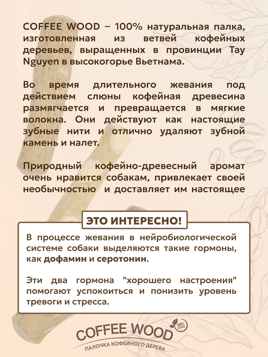 Coffee Wood Kahve Ağacı Çubuğu Xl 103753784