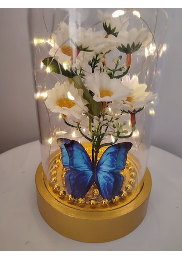 Işıklı Papatya Buket Fanus