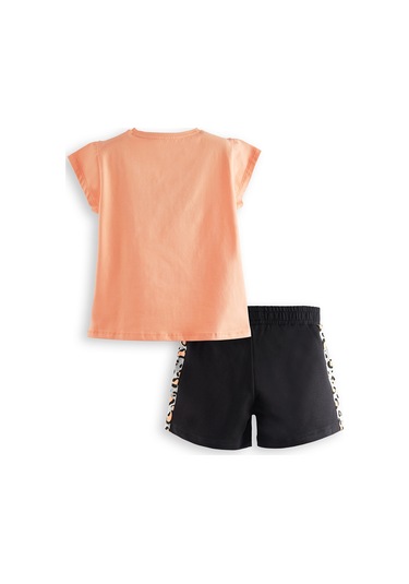 Denokids Zebra Ve Leo Kız Çocuk T-shirt Şort Takım Renkli Çok Renkli