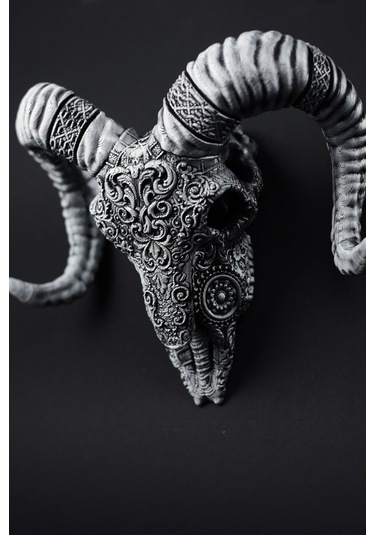 Koyun - Kuru Kafa - Figür / Büst - 17cm