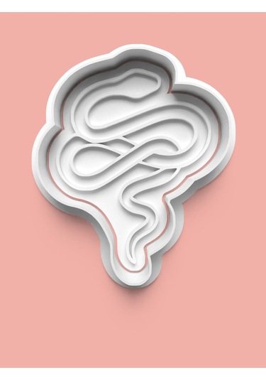 Yılan Kurabiye Kalıbı Ve Şeker Hamuru Kalıbı 4'lü Set