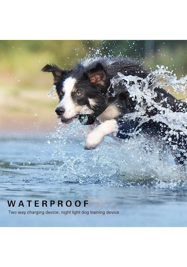 Hallow-ıp67 Su Geçirmez Şarj Edilebilir Köpek Eğitim Yaka,siyah