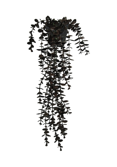 Yapay Çiçek Kahverengi Okaliptus 45 Cm New Collection Siyah Elmas Saksıda Yapay Sarkan Bitki Kahverengi