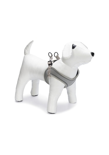 Beeztees Köpek Göğüs Tasması, Neopren, Gri, Xs, 30-35cm Çok Renkli