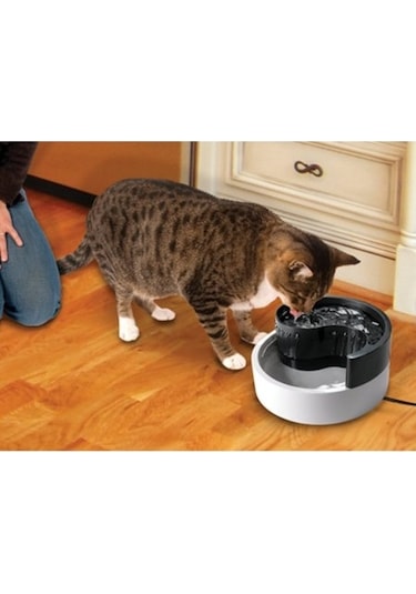 Pioneer Fungshui Kedi Otomatik Su Kabı 1800 ML
